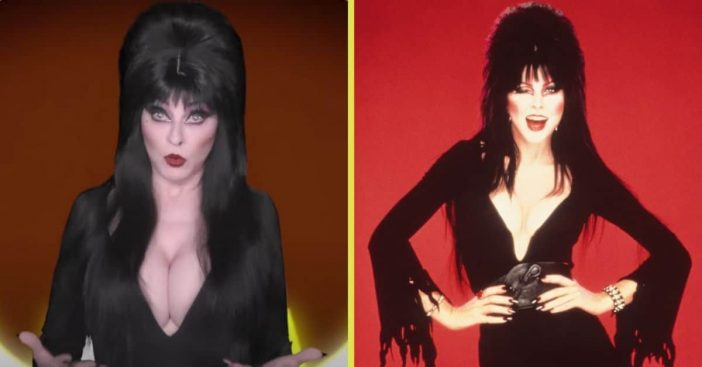 elvira new halloween video