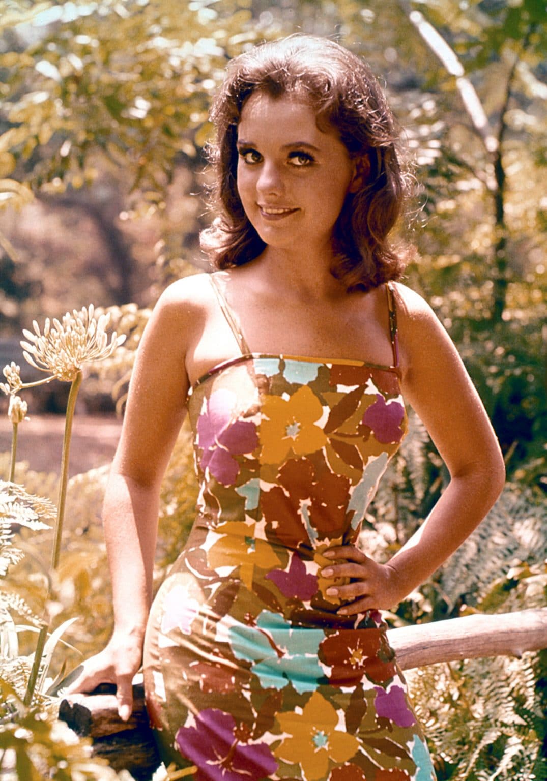 Celebrities React To The Death Of 'Gilligan's Island' Star Dawn Wells