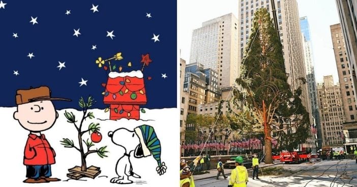 people compare 2020 rockefeller center christmas tree to charlie brown christmas tree