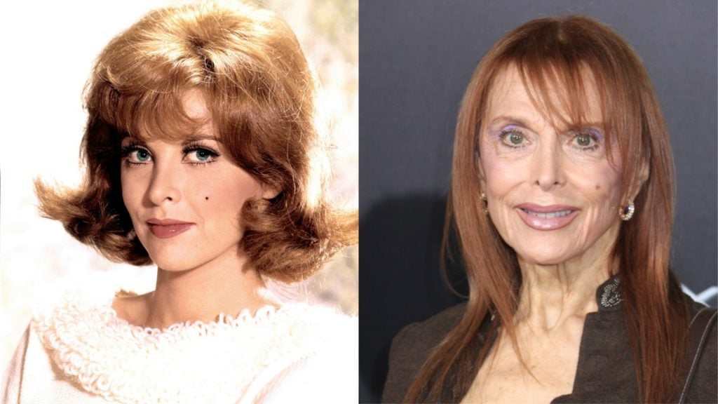 Revisit Fabulous Stars from the 1960s: Then and Now