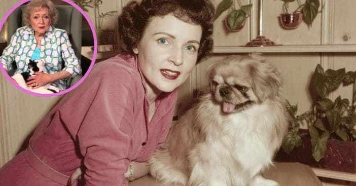 Betty White promotes 'Pet Set'