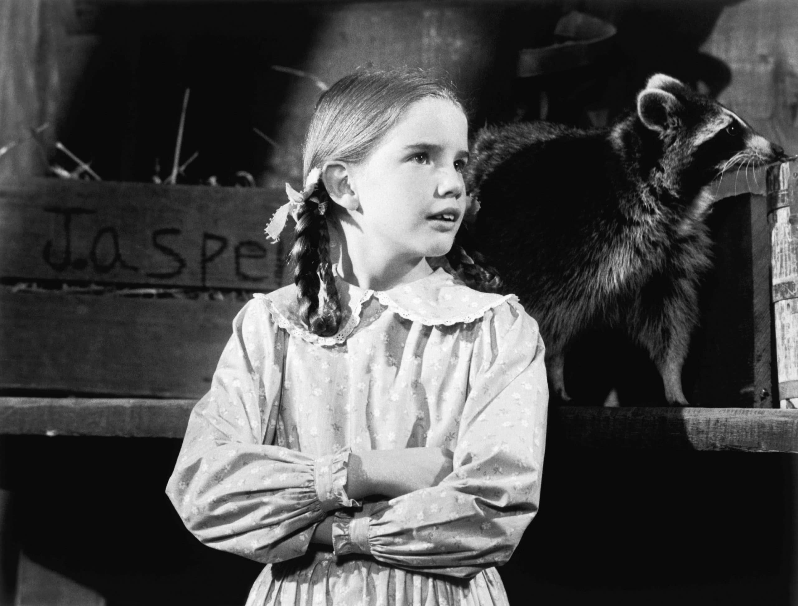 LITTLE HOUSE ON THE PRAIRIE, Melissa Gilbert in 'The Raccoon' 