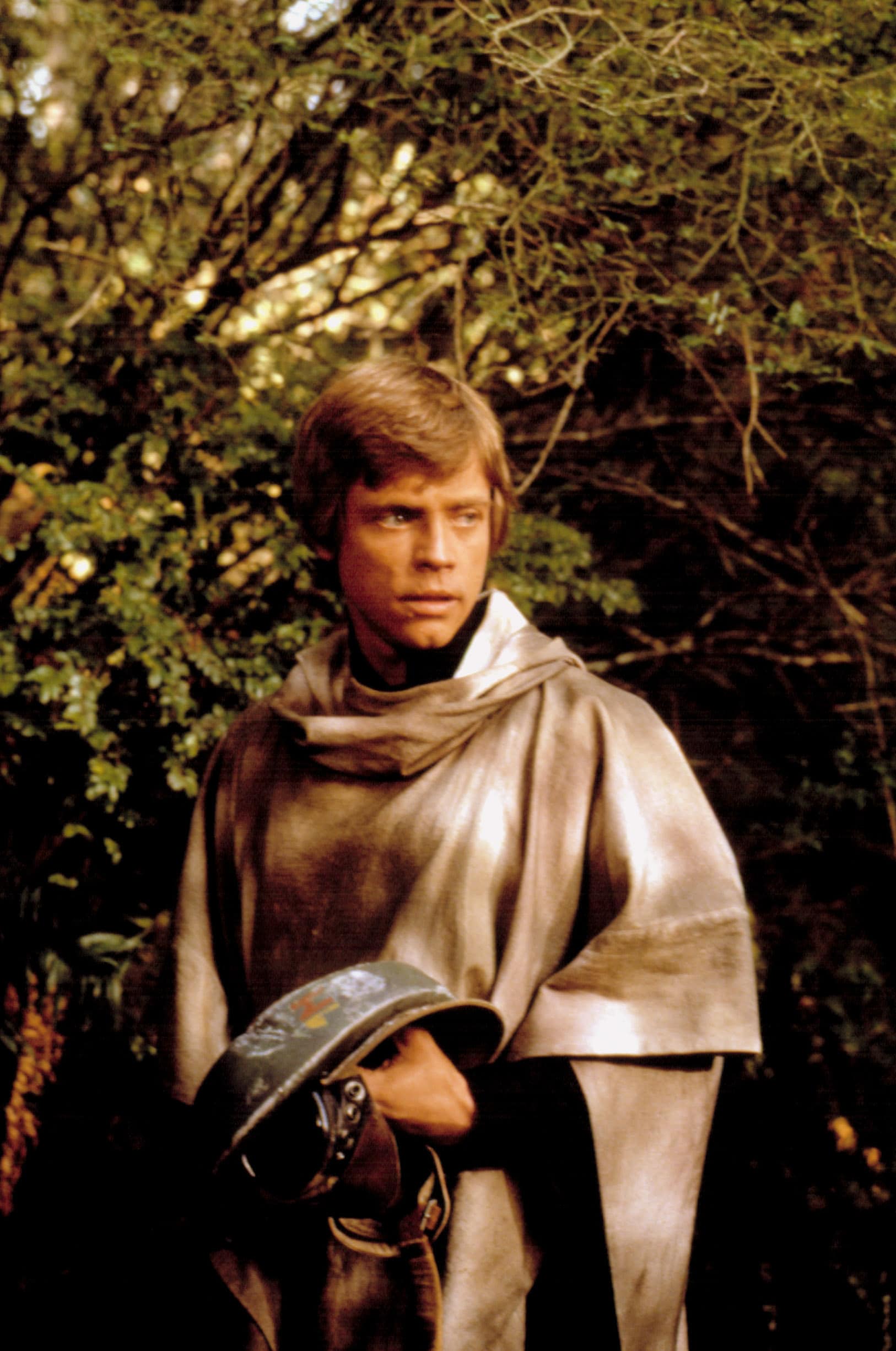 STAR WARS: EPISODE VI - RETURN OF THE JEDI, Mark Hamill