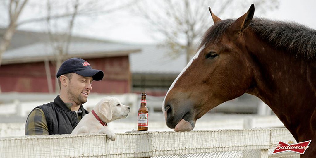 Popular Brands Budweiser, Coke, Pepsi Sitting Out This Year's Super Bowl