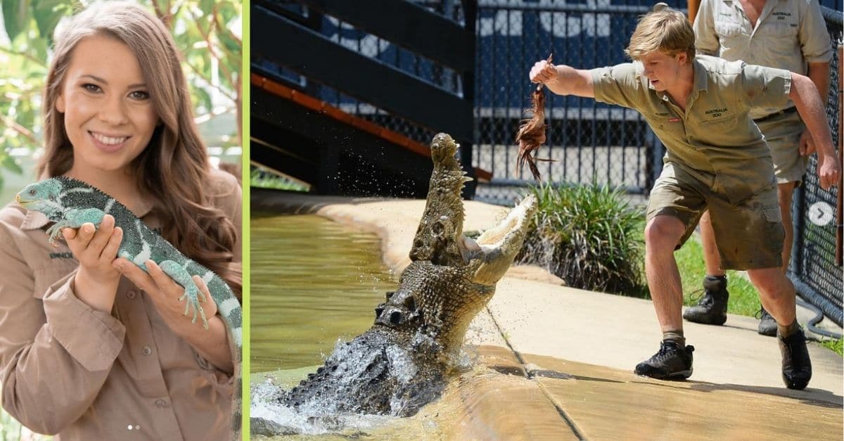 Bindi Irwin Admits She Fears Brother Robert Taking "Too Many Risks ...