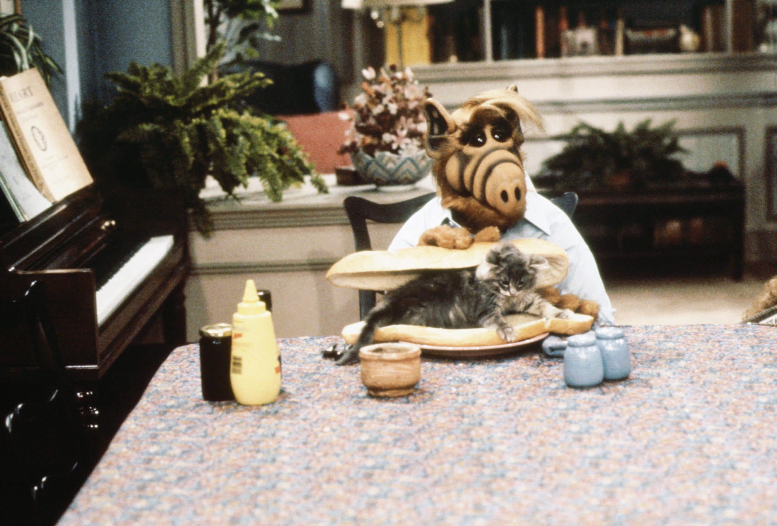 ALF eating a cat