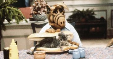 NBC Execs Worried About ALF's Cat-Eating, Beer-Drinking Antics