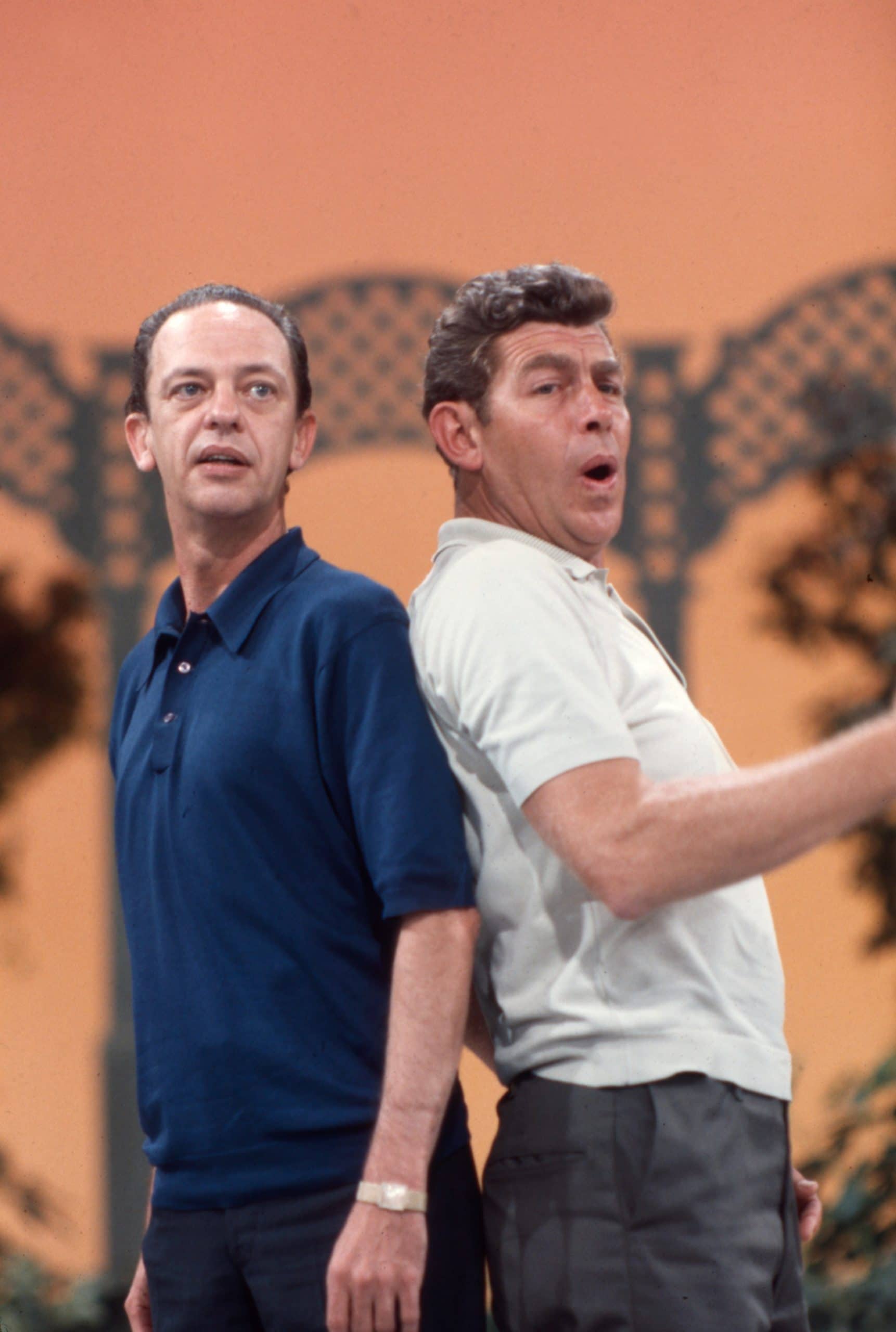 THE ANDY GRIFFITH, DON KNOTTS, JIM NABORS SHOW, Andy Griffith, Don Knotts