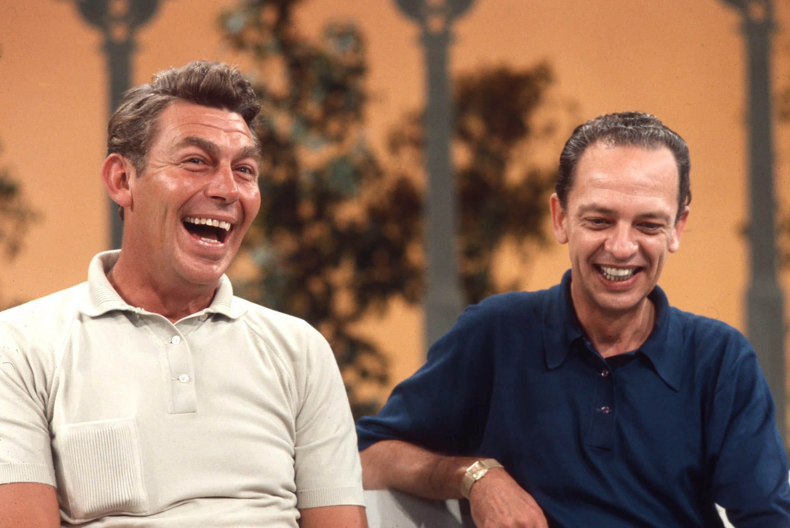 THE ANDY GRIFFITH, DON KNOTTS, JIM NABORS SHOW, Andy Griffith, Don Knotts, 1965