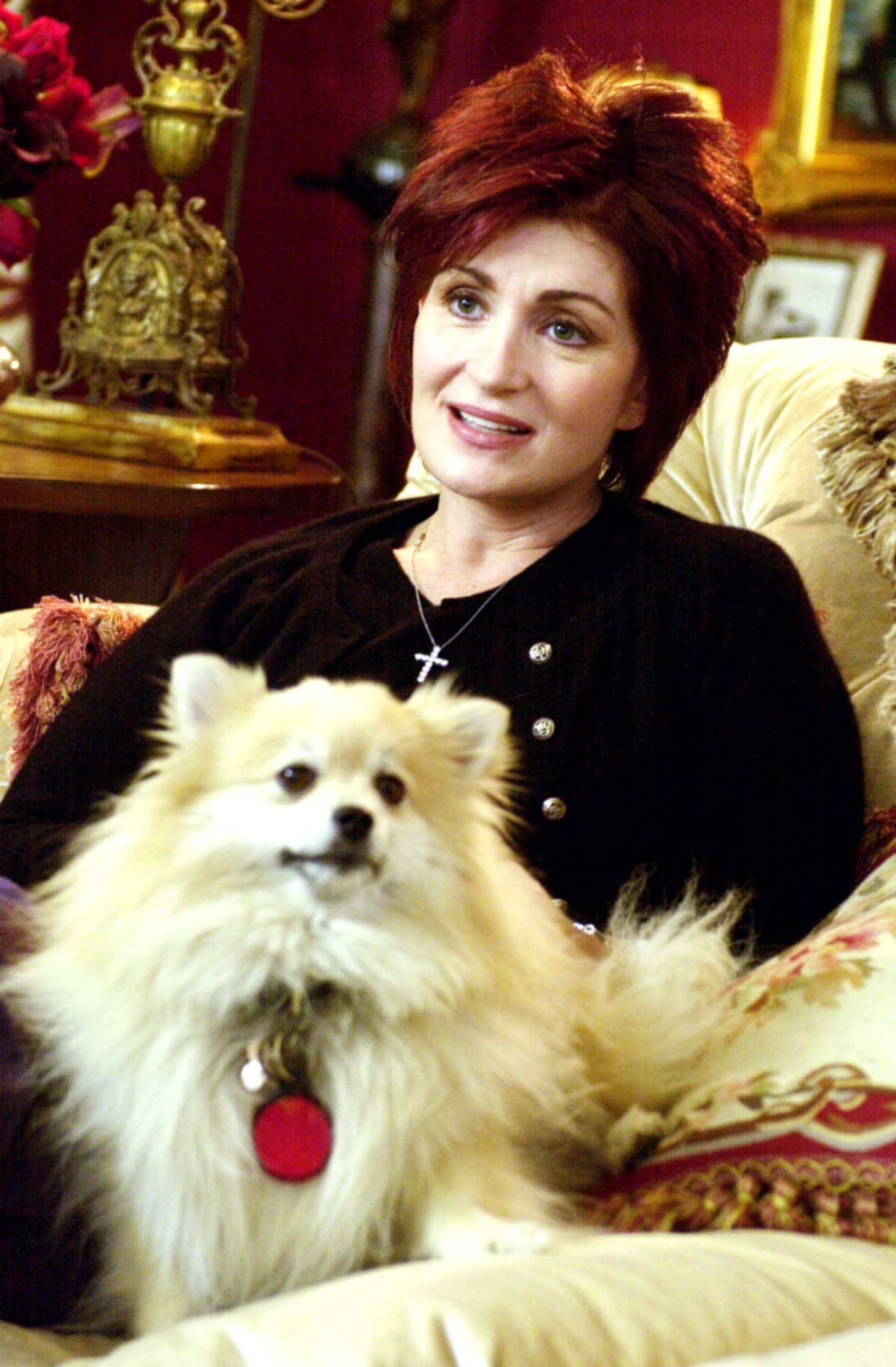 sharon osbourne the osbournes dog minnie