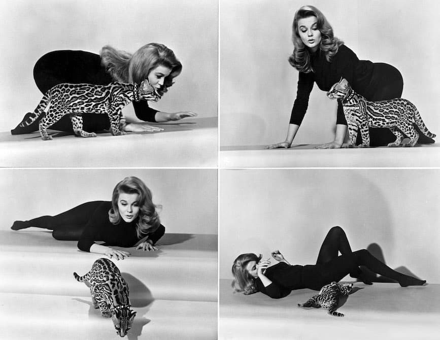 ann-margret-kitten-with-a-whip