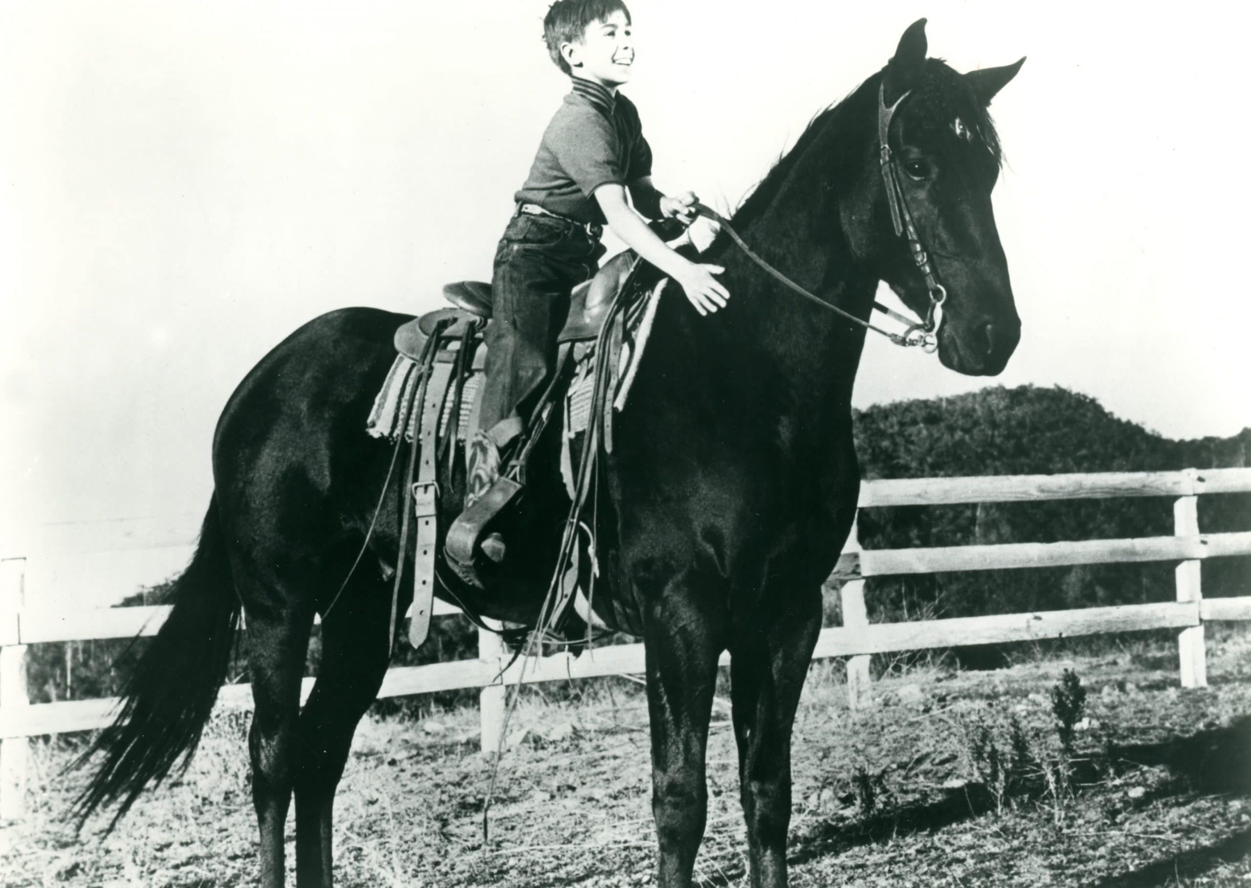 COURAGE OF BLACK BEAUTY, John Crawford, 1957