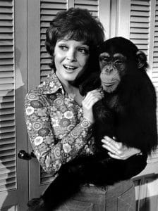 ME AND THE CHIMP, Anita Gillette, 1972.