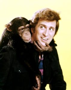 ME AND THE CHIMP, Ted Bessell, 1972