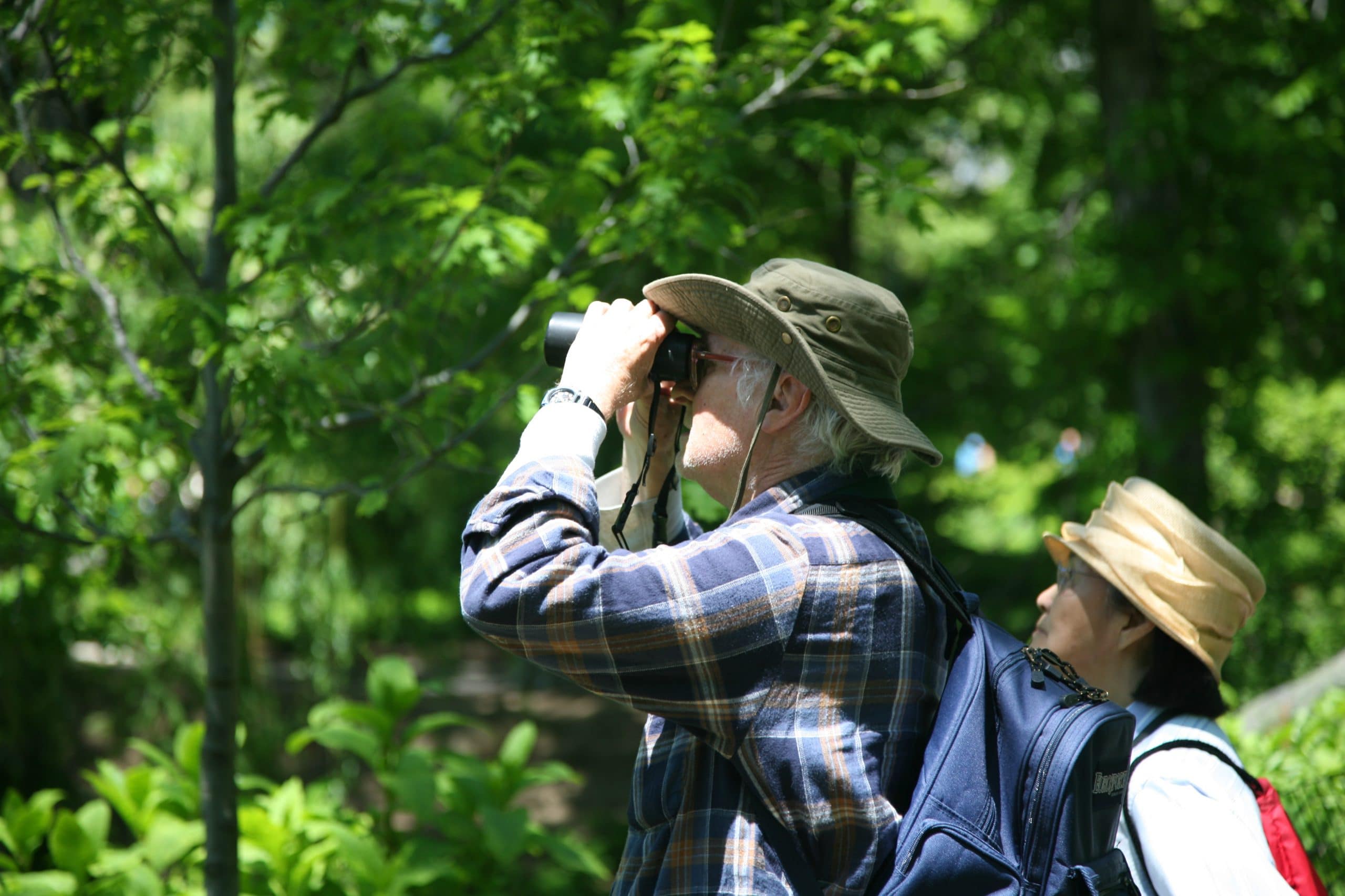 seniors bird watching 