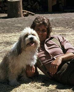 Michael Landon in Little House on the Prairie