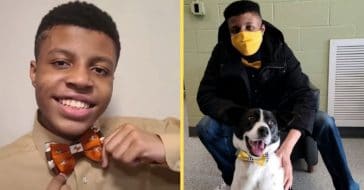 Teen Makes Over 1,000 Bowties To Help Shelter Dogs Get Adopted