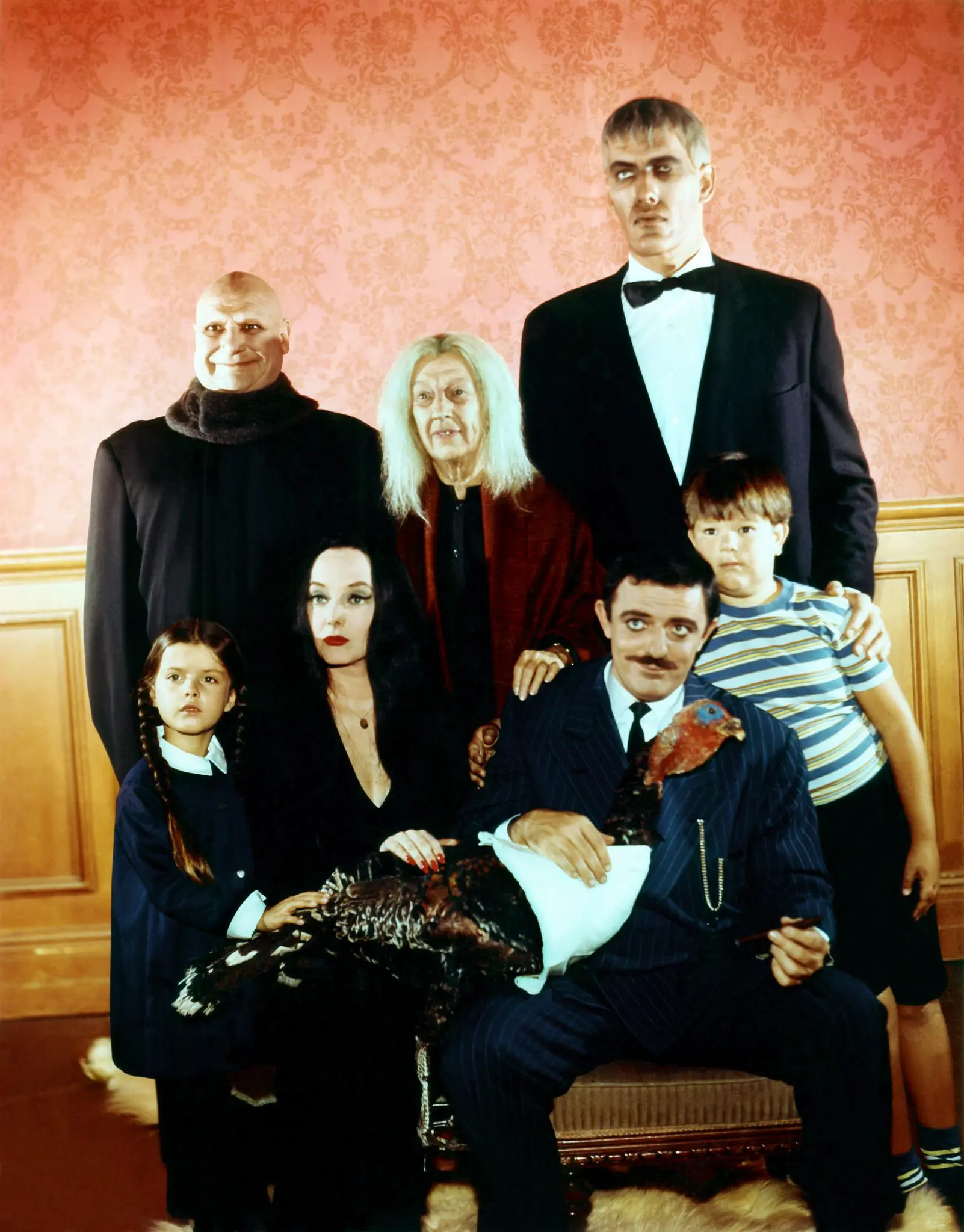 download addams family 2 wednesday
