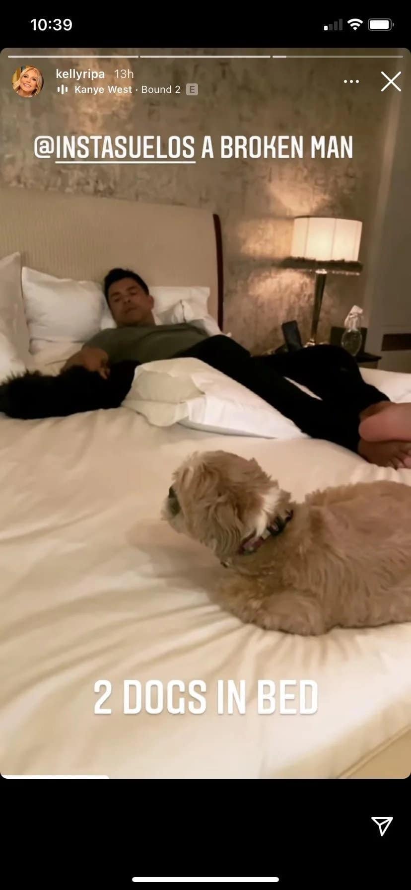 mark consuelos two dogs in bed lena chewie kelly ripa