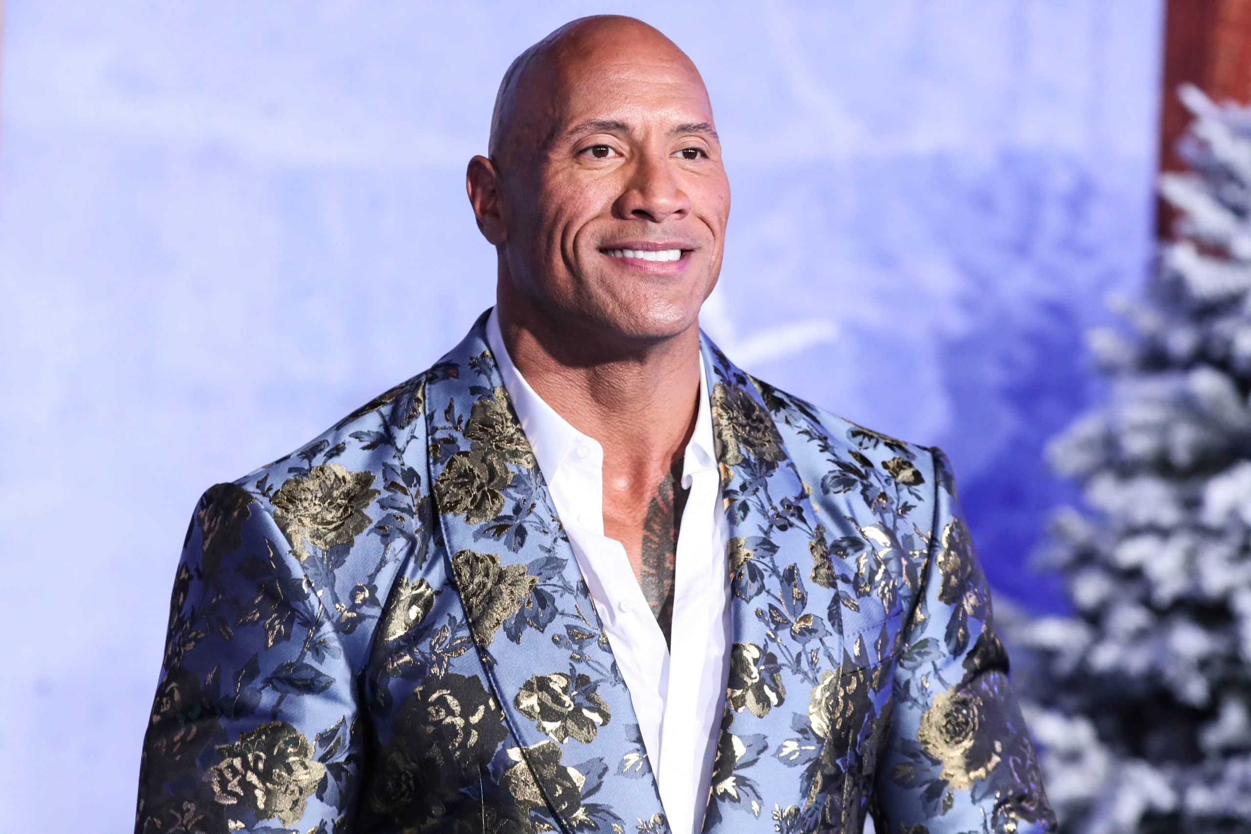 dwayne the rock johnson