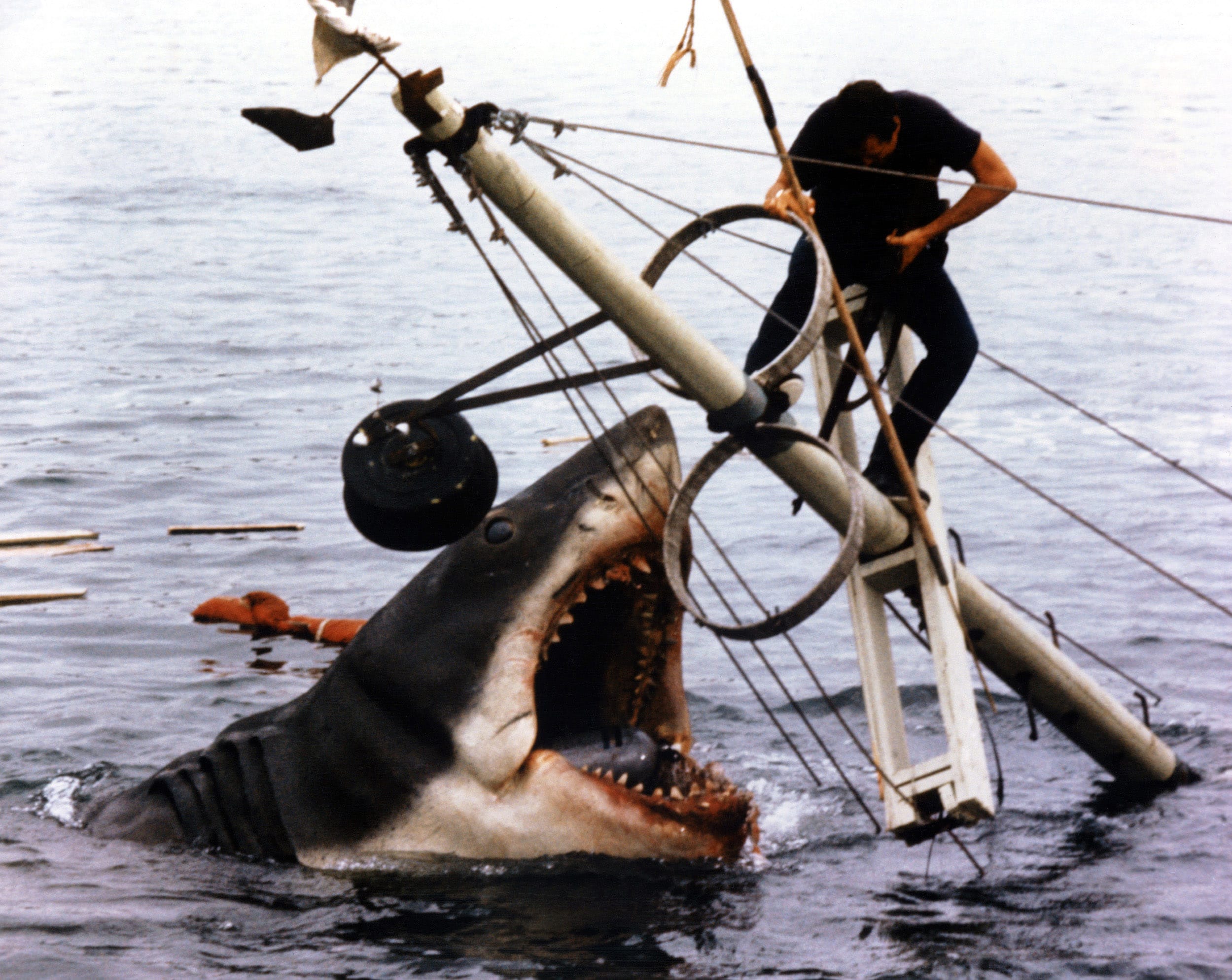 JAWS, 1975 shark