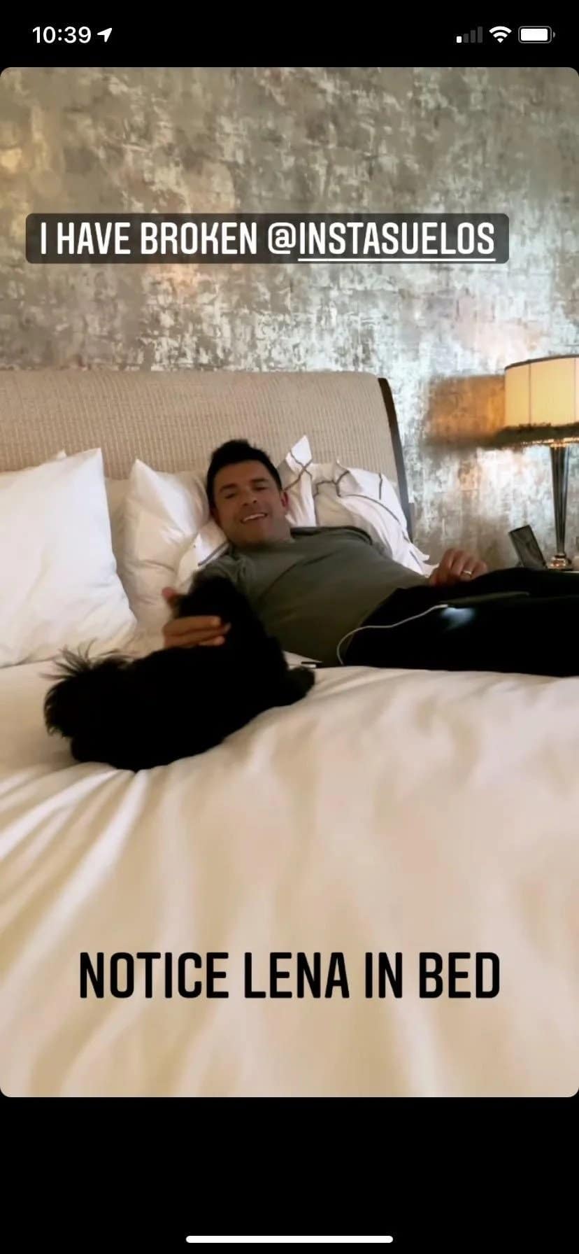 mark consuelos dog in bed lena