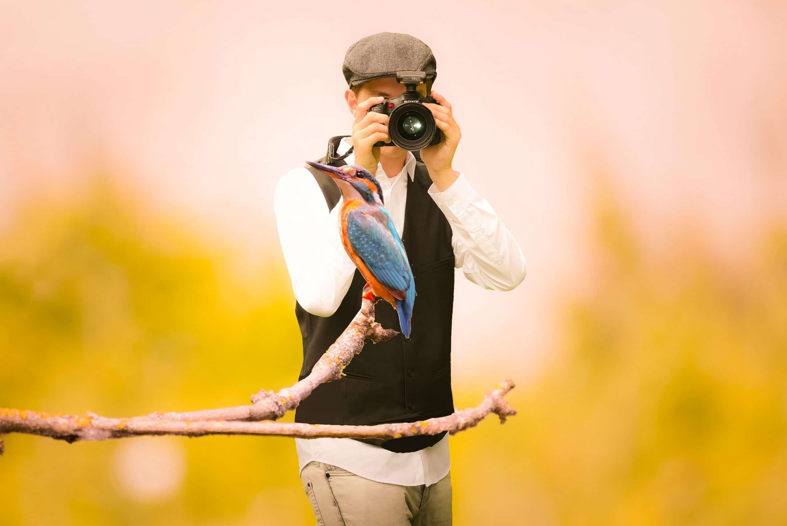 Man taking a photo of a bird