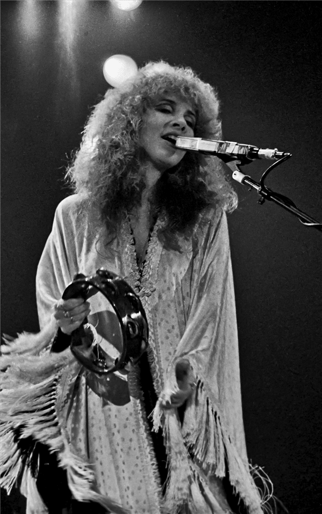 stevie nicks