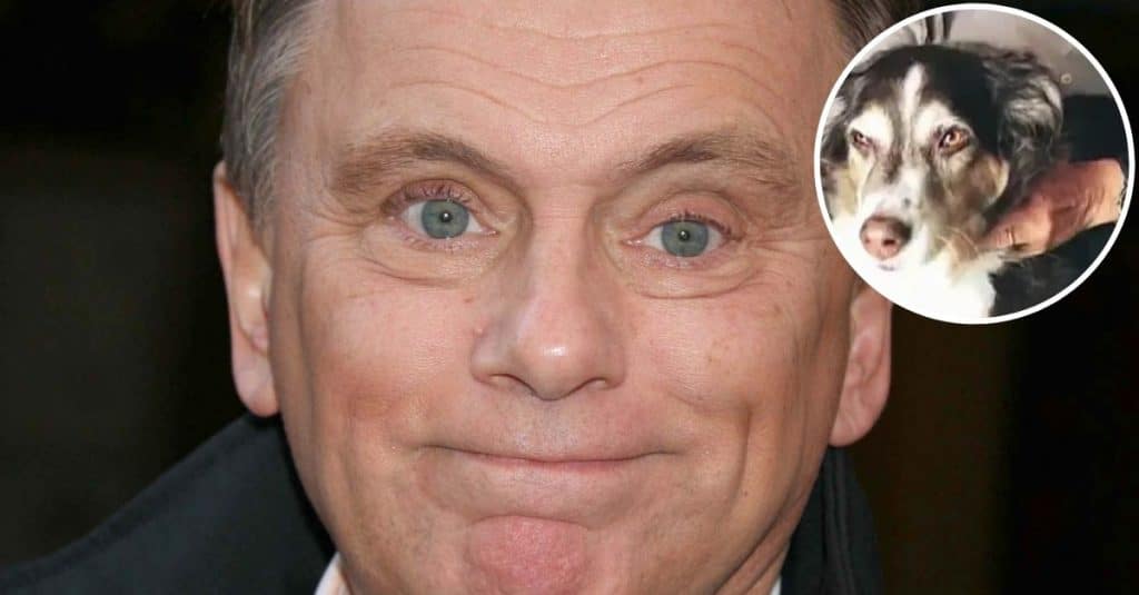 Pat Sajak Shares Devastating Family News On 'Wheel Of Fortune'