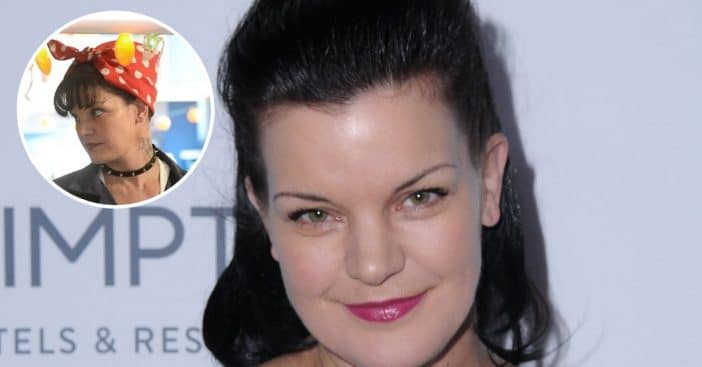 Will Pauley Perrette return for new NCIS show