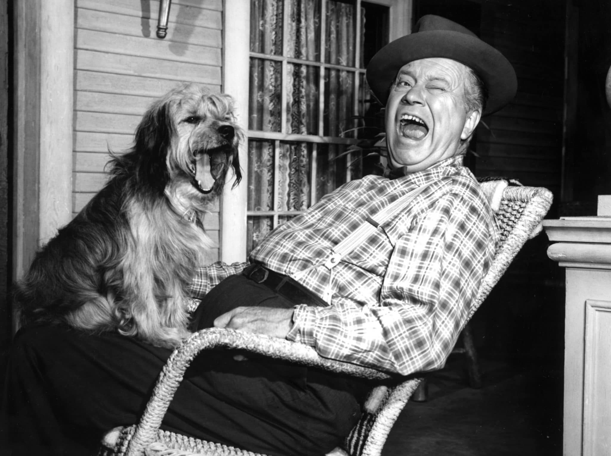 'Petticoat Junction' Cast Then And Now 2024, Where Are They Now?