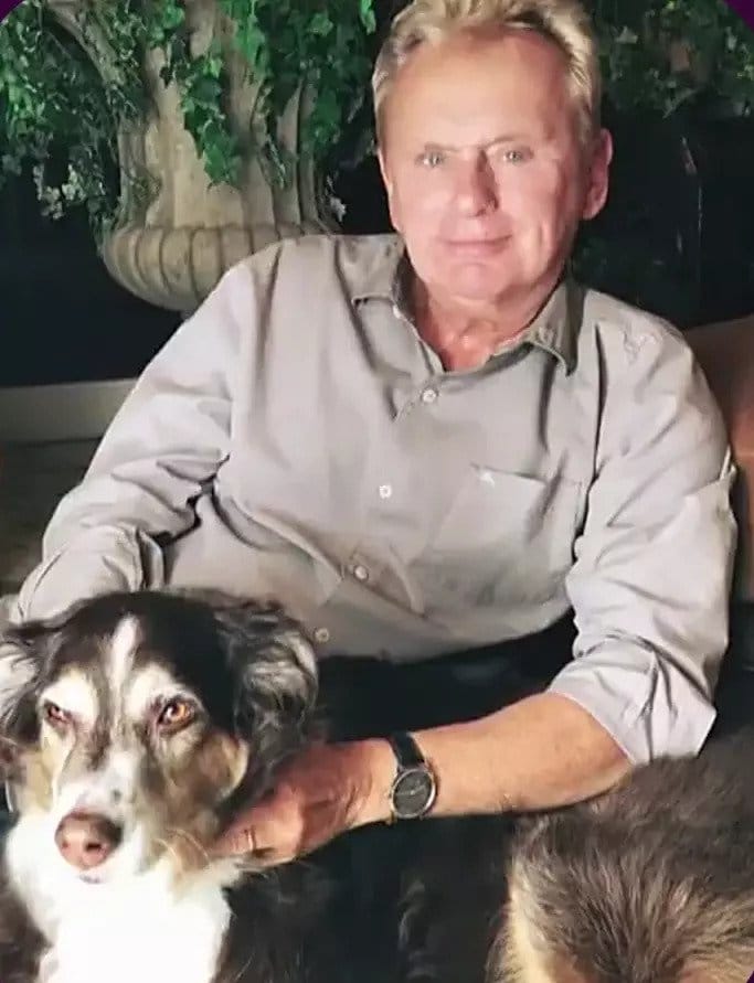 pat sajak late dog stella