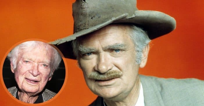 whatever happened to buddy ebsen