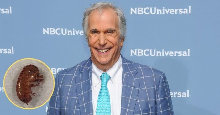 Henry Winkler Responds To Disgustingly Massive Bug Photo