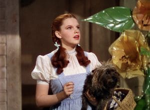 Judy Garland as Dorothy in her signature blue gingham dress for The Wizard of Oz
