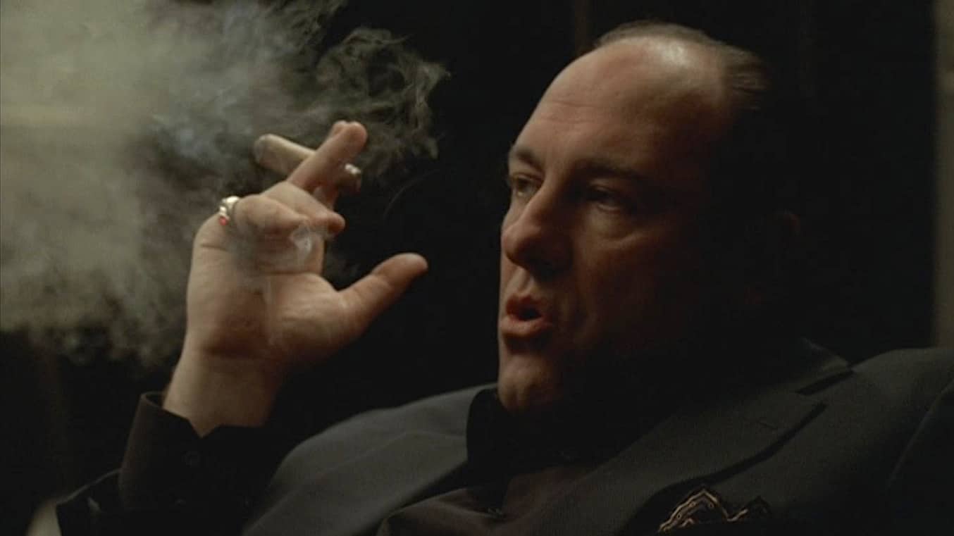 James Gandolfini as Tony Soprano