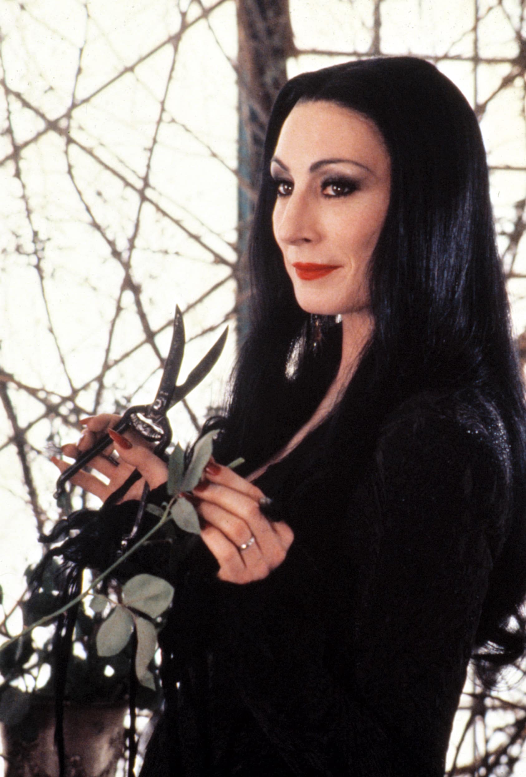 THE ADDAMS FAMILY, Anjelica Huston, 1991 morticia addams