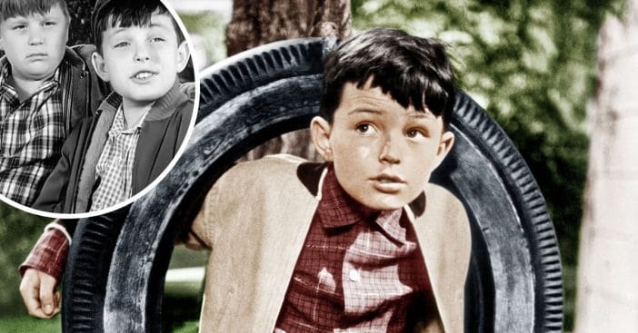 Jerry Mathers searched for Rusty Stevens for years