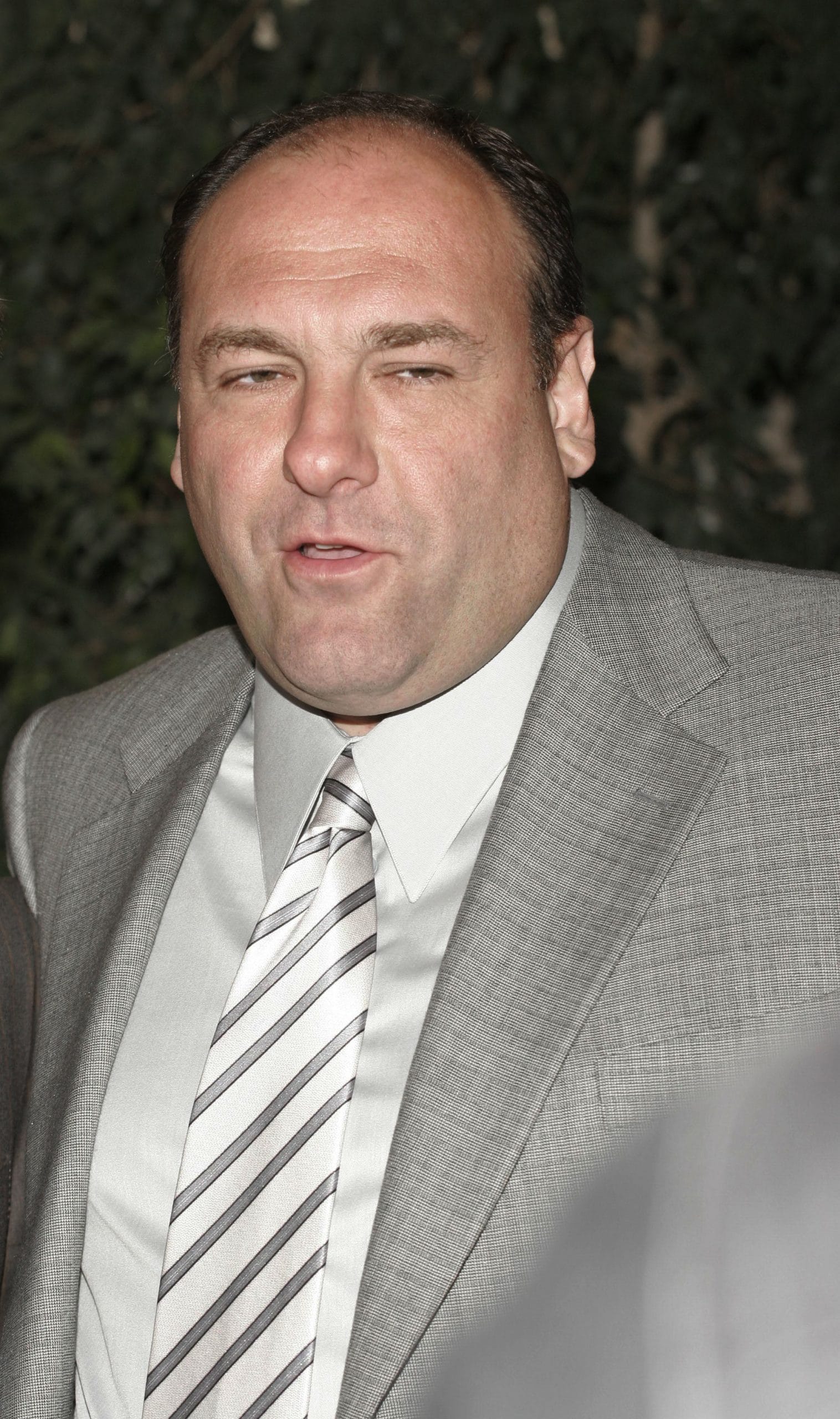 James Gandolfini at arrivals for 14TH ANNUAL ARTISTS FOR THE AFRICAN RAINFOREST, Manhattan Penthouse, New York, NY, May 16, 2005