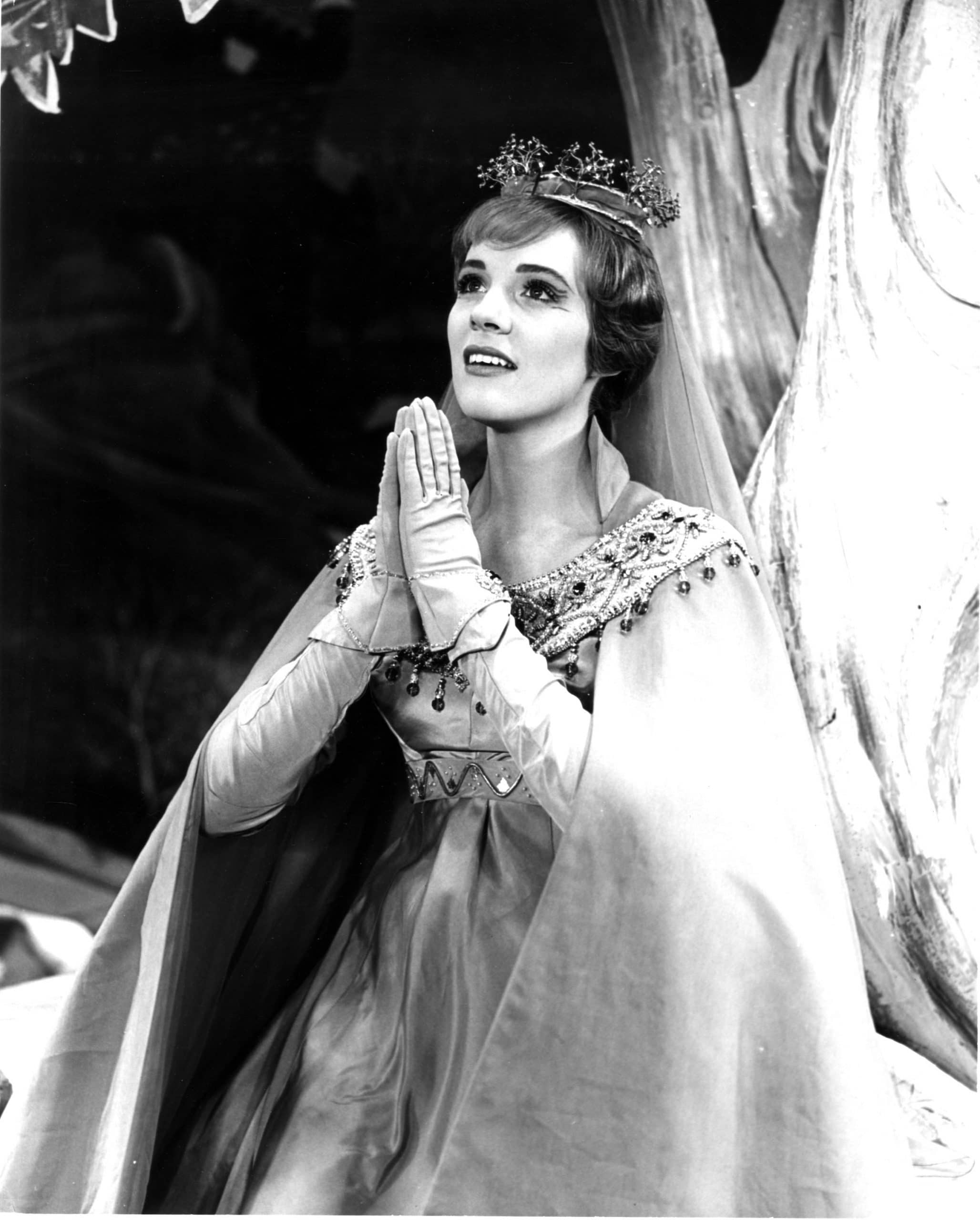 julie andrews in camelot 