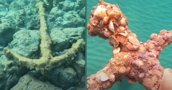 Diver Pulls 900-Year-Old Crusader Sword From Ocean Floor