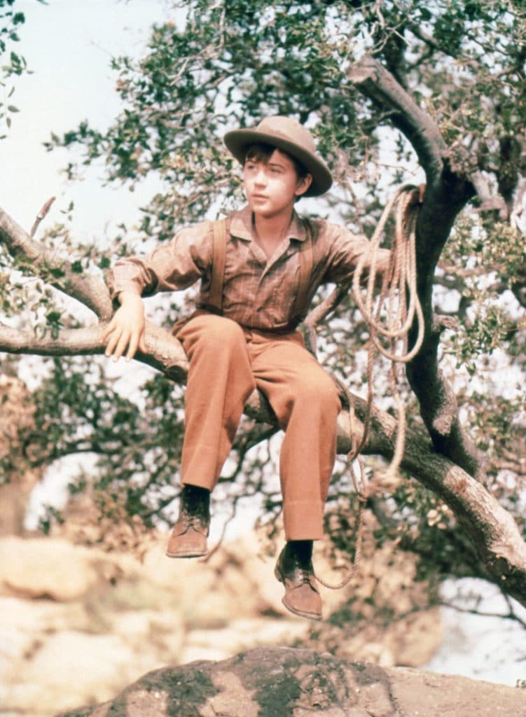 &lsquo;Old Yeller&rsquo; Child Star Tommy Kirk Found Dead At 79