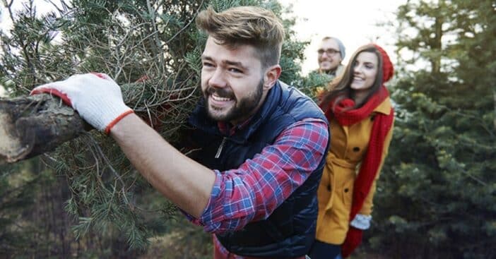 Christmas Trees Could Be More Expensive This Year—Here's Why