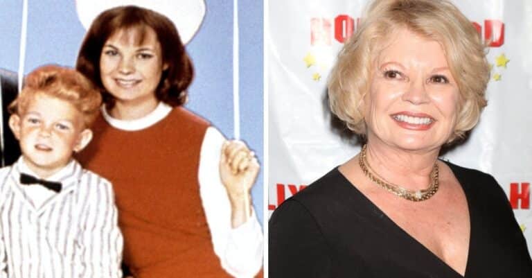 Family Affair Cast: Their Joys and Tragedies, Then and Now 2024