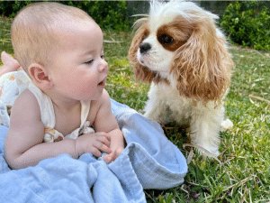 Grace is already quite comfortable around animals