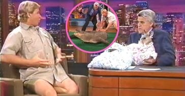 Jay Leno with Steve Irwin - and Morris the alligator
