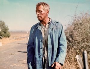 COOL HAND LUKE, Paul Newman