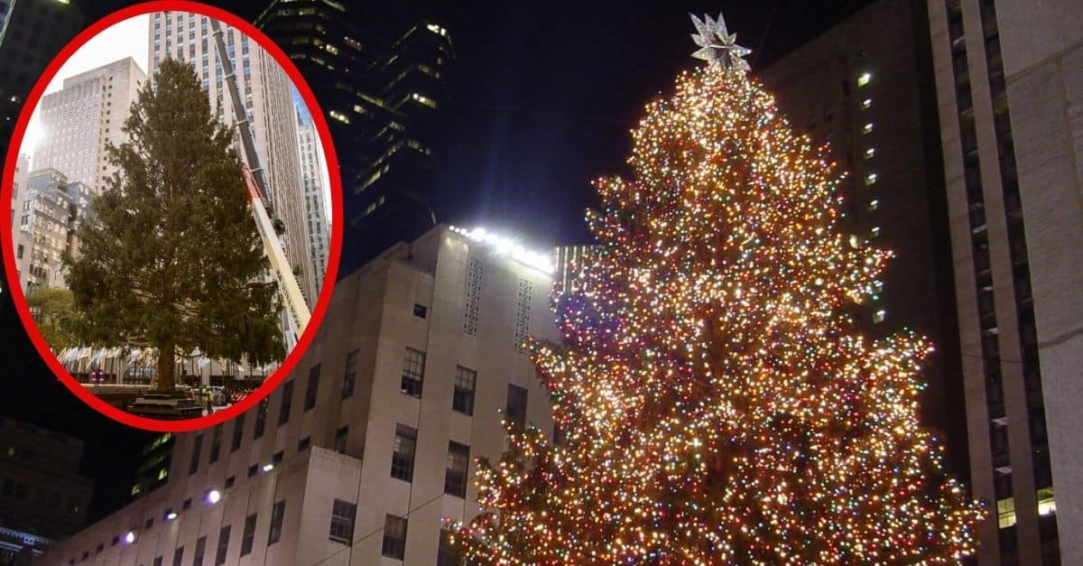 80-Foot Tree Marks 90 Years Of The Rockefeller Christmas Tradition