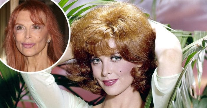 Tina Louise wants to date again