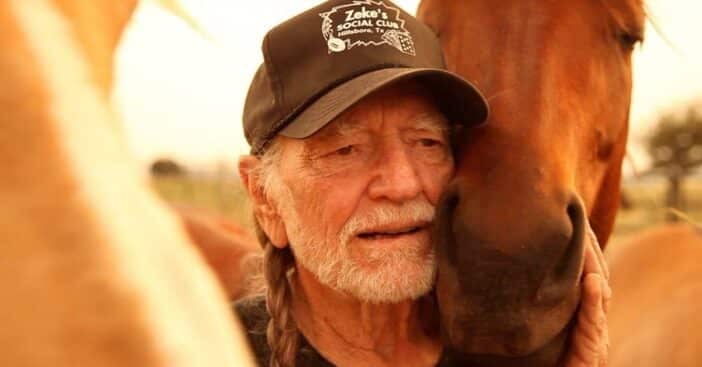 Willie Nelson Pens Open Letter Demanding More Protection For Wild Horses